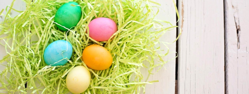Eier, Ostern, abnehmen, Diät,Cholesterinspiegel, Nährstoffe, Eiweiß, Gesundheit, Experte, gesund